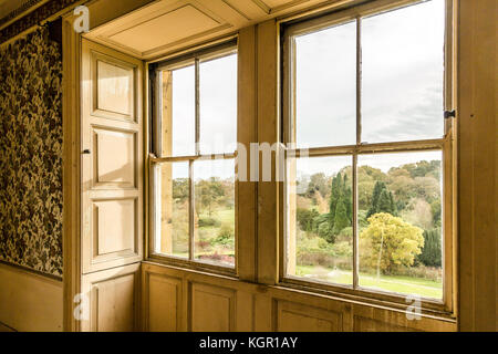 Une fenêtre avec des volets traditionnels, l'extérieur est une vue sur la forêt Banque D'Images