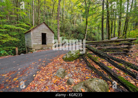 La couleur de l'automne dans le parc national des Great Smoky Mountains. Banque D'Images