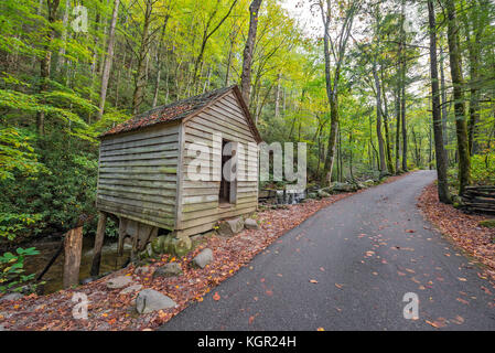 La couleur de l'automne dans le parc national des Great Smoky Mountains. Banque D'Images