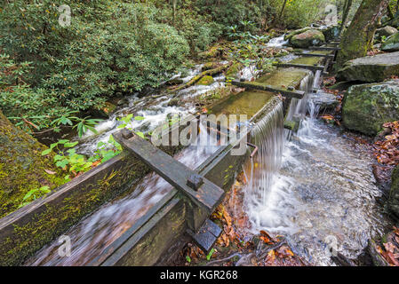 La couleur de l'automne dans le parc national des Great Smoky Mountains. Banque D'Images