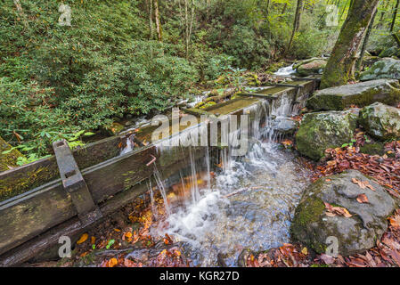 La couleur de l'automne dans le parc national des Great Smoky Mountains. Banque D'Images