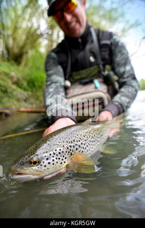 Happy fly-fisherman holding truite fario Banque D'Images