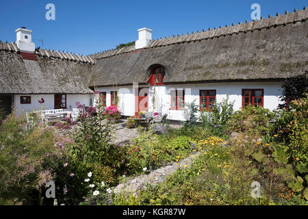 Peint blanc traditionnel thatched cottage danois et le jardin, Gilleleje, le Kattegat, la Nouvelle-Zélande, le Danemark, Europe Banque D'Images