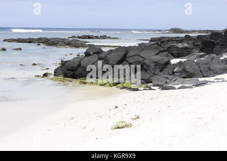 Pomponette public Beach Experience Banque D'Images