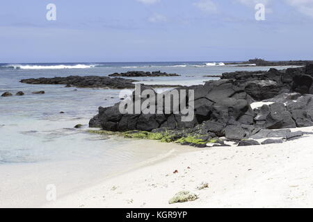 Pomponette public Beach Experience Banque D'Images