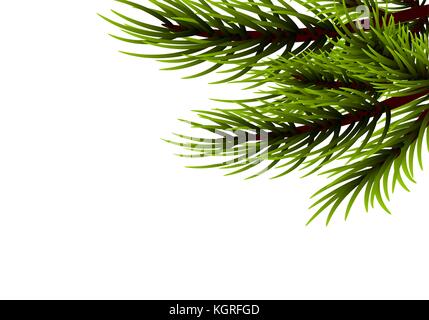 Arrière-plan de sapin isolé réaliste Illustration de Vecteur