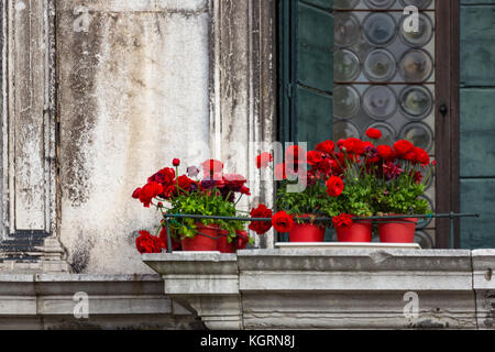 Fleurs rouge sur un balcon vintage à Venise. Banque D'Images