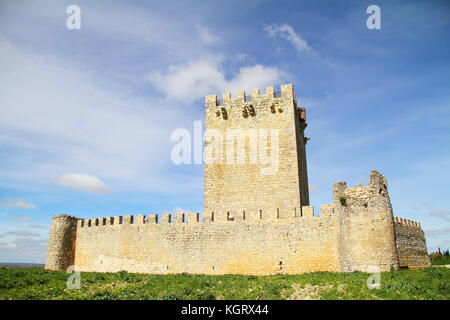 Tiedra château, Valladolid, Castille et Leon, Espagne Banque D'Images