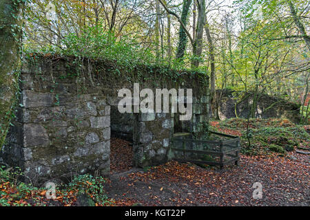 Bâtiments abandonnés de l'ancienne poudre travaille à kennal vale près de ponsanooth à Cornwall, Angleterre, Royaume-Uni. Banque D'Images