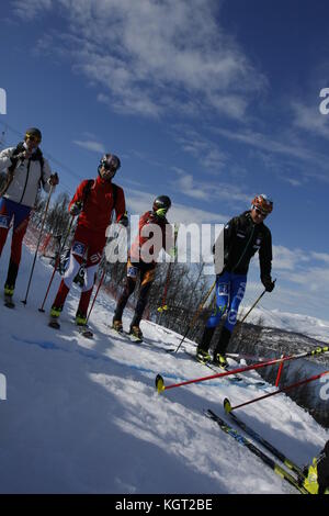 Coupe du Monde Skimountaineering Tromsø , Randonee Racing Banque D'Images