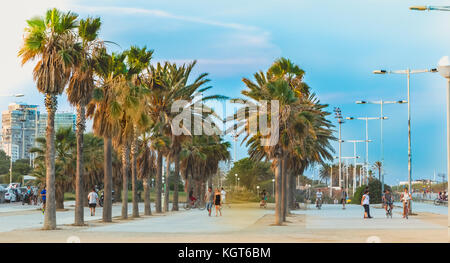 Barcelone, Espagne - 20 juin 2017 : les gens sont de marcher sous les palmiers sur la plage de Barcelone à la fin de la journée Banque D'Images