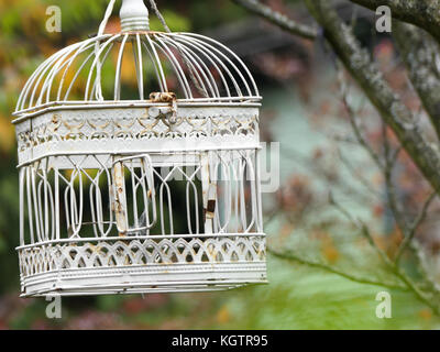 Cage à oiseaux blanche vide jardin les arbres d'automne background Banque D'Images