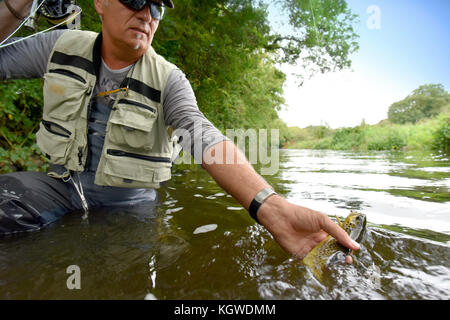 Pêcheur à la mouche Pêche truite brune dans river Banque D'Images