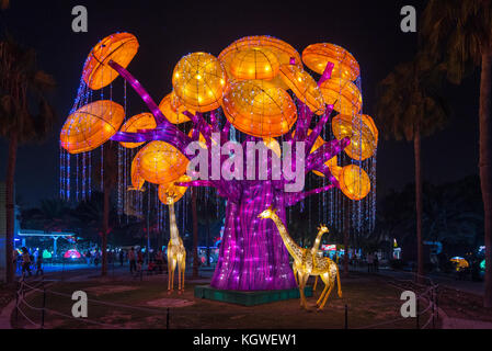 Dubaï, Émirats arabes unis - 28oct2017 : bougies de jardin Dubaï est une soirée dans l'attraction du parc zabeel qui fonctionne pendant les mois d'hiver. Banque D'Images