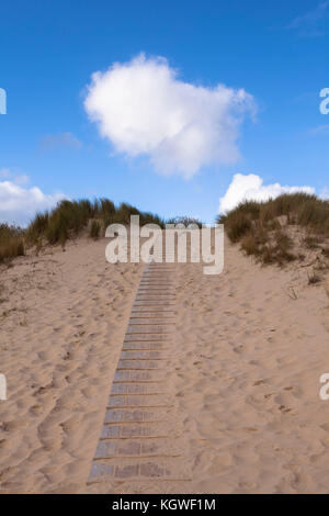 Pays-Bas, Zélande, promenade à travers les dunes dans la réserve naturelle de Manteling entre Domburg et Oostkapelle sur la péninsule de Walcheren. Nied Banque D'Images