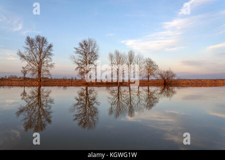 Beau paysage avec des arbres, ciel bleu et les nuages se reflètent dans l'eau de la rivière à la lumière du soleil couchant Banque D'Images