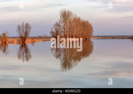 Beau paysage avec des arbres, ciel bleu et les nuages se reflètent dans l'eau de la rivière à la lumière du soleil couchant Banque D'Images