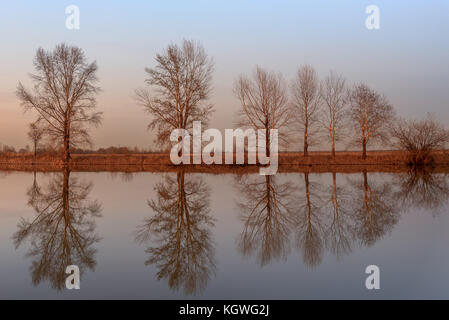 Beau paysage avec des arbres, ciel bleu et les nuages se reflètent dans l'eau de la rivière à la lumière du soleil couchant Banque D'Images