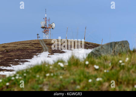 Vue panoramique avec des fleurs et une tour de télécommunication sur le dessus de la montagne contre le ciel bleu sur une journée ensoleillée Banque D'Images