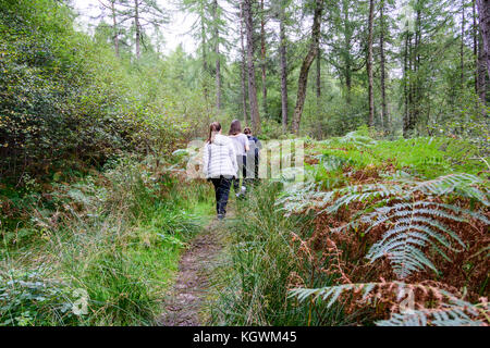Une famille de quatre personnes (la mère et trois enfants) randonnée dans la forêt près de Loch Lomond dans le Loch Lomond et des Trossachs Naitional Park, Ecosse Banque D'Images