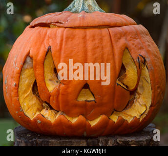 Citrouille sculptée en décomposition plusieurs jours après l'Halloween. UK Banque D'Images