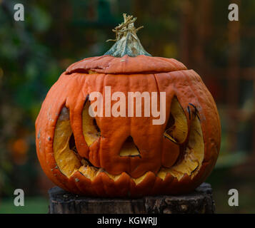 Citrouille sculptée en décomposition plusieurs jours après l'Halloween. UK Banque D'Images