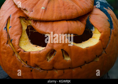 Citrouille sculptée en décomposition plusieurs jours après l'Halloween. UK Banque D'Images