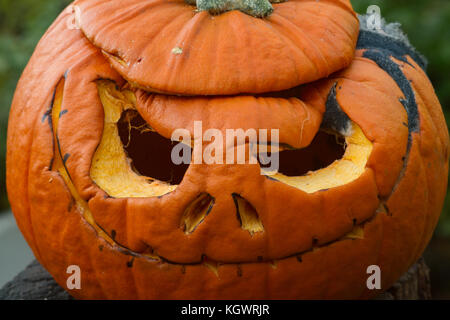 Citrouille sculptée en décomposition plusieurs jours après l'Halloween. UK Banque D'Images