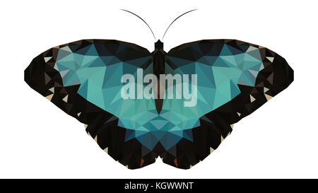 Low poly illustration d'un papillon morpho Banque D'Images