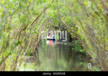 Le passeur prend le meilleur sur une excursion en bateau le long des canaux dans la forêt de mangrove. Banque D'Images