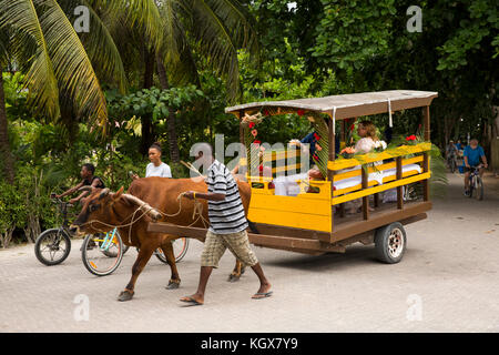 Les Seychelles, La Digue, La Passe, le transport traditionnel, couple marié de charrette sur le chemin du mariage Banque D'Images