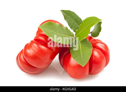 Les tomates et laurel isolé sur fond blanc Banque D'Images
