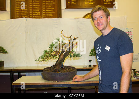 Bjorholm Bjorholm au début de la création d'un bonsai de PIN écossais (Pinus Sylvestris) lors d'une manifestation publique à Belfast, en Irlande du Nord Banque D'Images