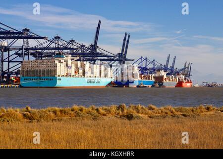 Grues de travail au port de Felixstowe en attendant le prochain navire pour charger ou décharger. Vu de l'autre côté de la rivière Orwell à Shotley Gate. Banque D'Images