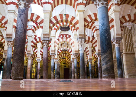 Cordoue, Espagne - 4 juin 2011 : salle hypostyle à la mosquée islamique médiévale de Cordoue, Andalousie, Espagne.Vue du sol Banque D'Images