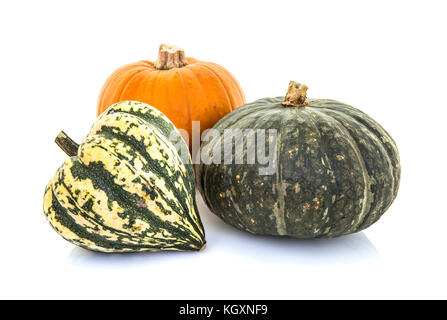 Citrouilles et courges sur un fond blanc Banque D'Images