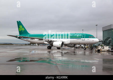 Airbus A320 d'Aer Lingus EI-DEM sur le terrain un jour de pluie à l'aéroport de Belfast City. Banque D'Images