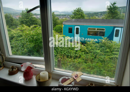 Rob Waistell qui est de couleur crème (bungalow) à Maesteg, Pays de Galles, Royaume-Uni, est gangrené par la renouée du Japon qui s'est étendu le long du chemin de fer. Banque D'Images