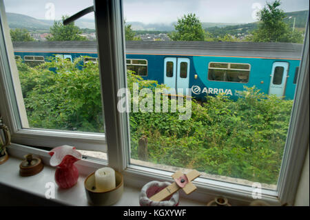 Rob Waistell qui est de couleur crème (bungalow) à Maesteg, Pays de Galles, Royaume-Uni, est gangrené par la renouée du Japon qui s'est étendu le long du chemin de fer. Banque D'Images