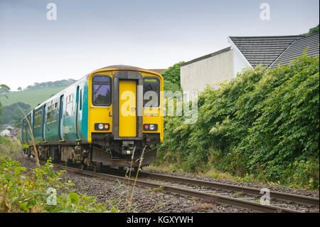 Rob Waistell qui est de couleur crème (bungalow) à Maesteg, Pays de Galles, Royaume-Uni, est gangrené par la renouée du Japon qui s'est étendu le long du chemin de fer. Banque D'Images