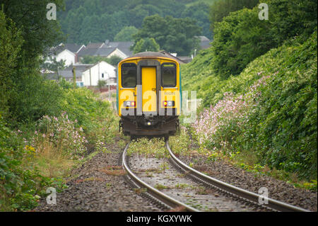 Rob Waistell qui est de couleur crème (bungalow) à Maesteg, Pays de Galles, Royaume-Uni, est gangrené par la renouée du Japon qui s'est étendu le long du chemin de fer. Banque D'Images