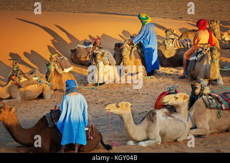 Les Berbères avec les chameaux dans le désert du Sahara, le Maroc au coucher du soleil - trekking safari tour Banque D'Images