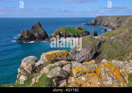 Kynance Cove sur le Lézard en Cornouailles. belle journée ensoleillée.rochers en premier plan recouvert de lichen de couleur vive. Banque D'Images