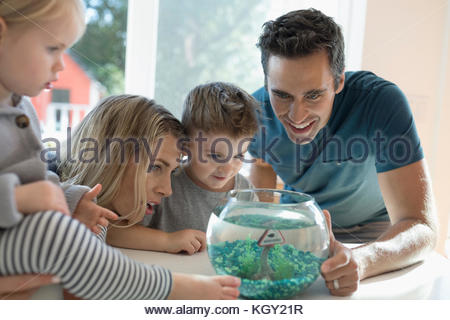 Jeune famille regardant goldfish in bowl