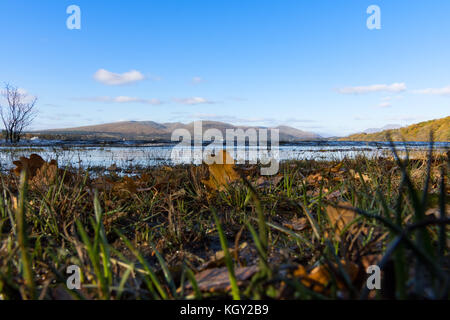 Le Loch Lomond Ecosse Banque D'Images