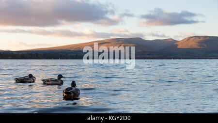 Le Loch Lomond Ecosse Banque D'Images