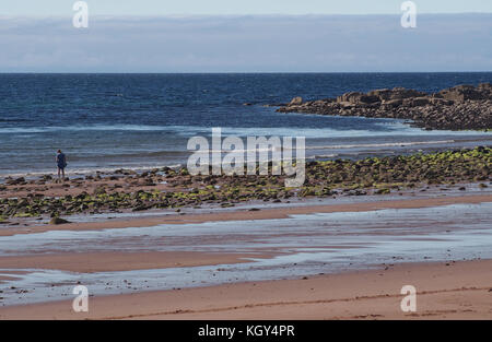 Young woman paddling seul sur la plage à Opinan, Ecosse Banque D'Images