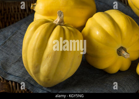 Jaune blanc biologique brut prêt à cuire la courge poivrée Banque D'Images