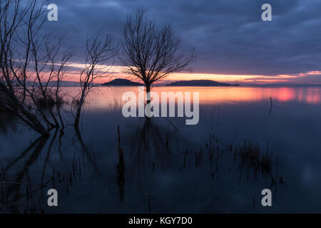 Coucher de soleil sur le lac, avec les arbres et les plantes, squelettiques et belle, Moody et ciel coloré Banque D'Images