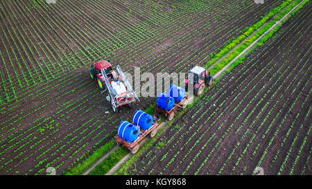 Cultiver du tracteur au champ du printemps, vue aérienne Banque D'Images